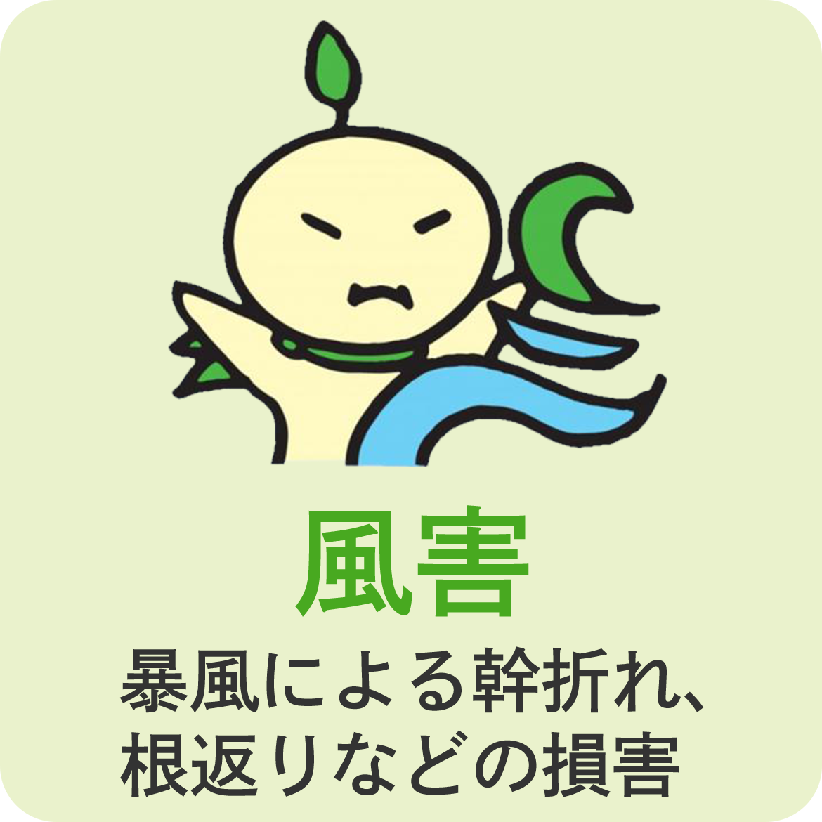 風害　暴風による幹折れ、 根返りなどの損害