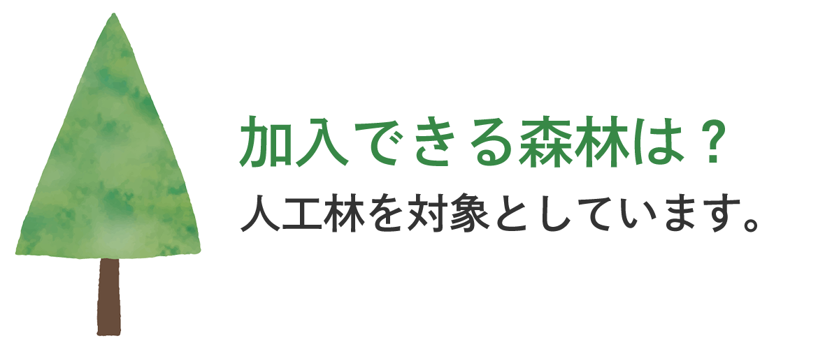 加入できる森林は？　人工林を対象としています。