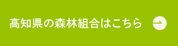 高知県の森林組合はこちら